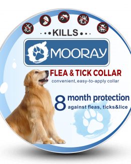 dog flea collar